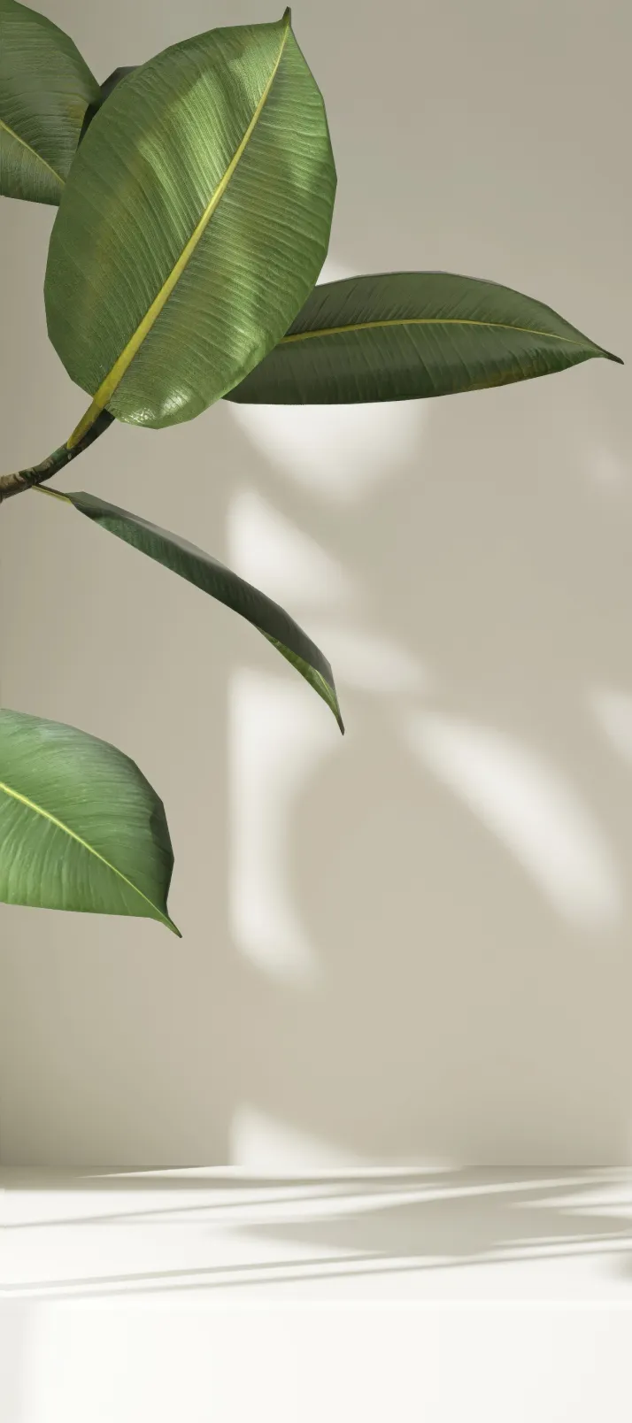 Services at BioDent Smile